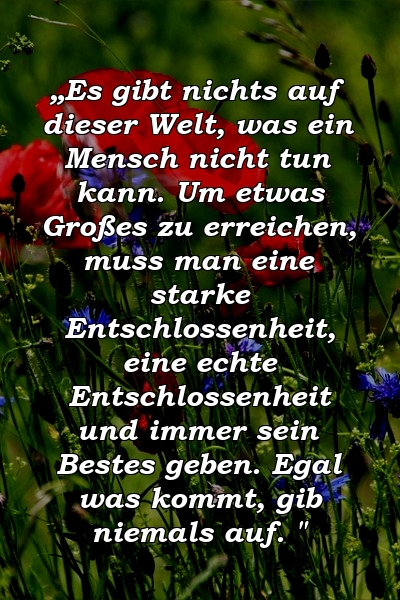 „Es gibt nichts auf dieser Welt, was ein Mensch nicht tun kann. Um etwas Großes zu erreichen, muss man eine starke Entschlossenheit, eine echte Entschlossenheit und immer sein Bestes geben. Egal was kommt, gib niemals auf. "