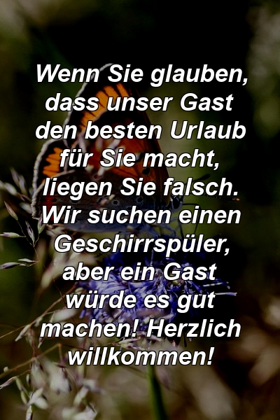 Wenn Sie glauben, dass unser Gast den besten Urlaub für Sie macht, liegen Sie falsch. Wir suchen einen Geschirrspüler, aber ein Gast würde es gut machen! Herzlich willkommen!