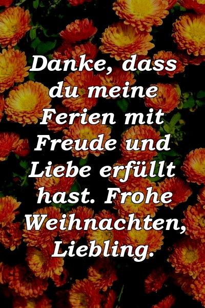 Danke, dass du meine Ferien mit Freude und Liebe erfüllt hast. Frohe Weihnachten, Liebling.