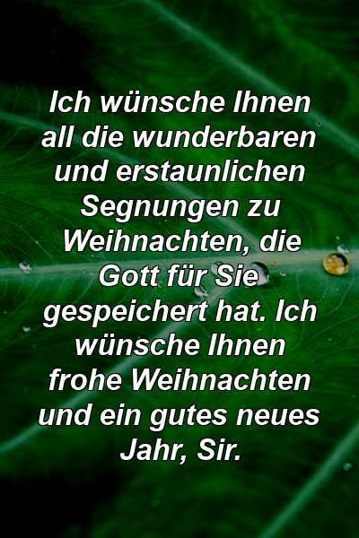 Ich wünsche Ihnen all die wunderbaren und erstaunlichen Segnungen zu Weihnachten, die Gott für Sie gespeichert hat. Ich wünsche Ihnen frohe Weihnachten und ein gutes neues Jahr, Sir.