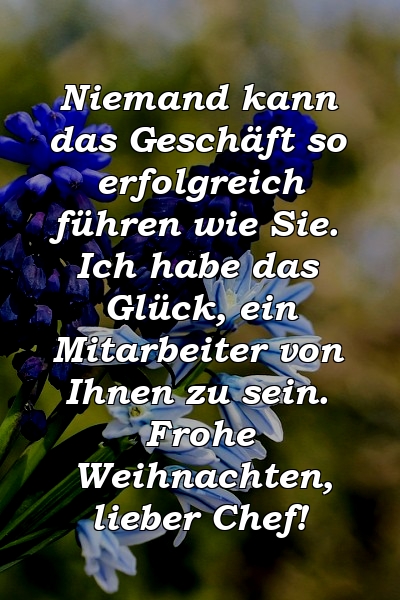 Niemand kann das Geschäft so erfolgreich führen wie Sie. Ich habe das Glück, ein Mitarbeiter von Ihnen zu sein. Frohe Weihnachten, lieber Chef!