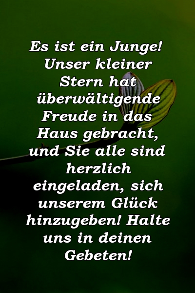 Es ist ein Junge! Unser kleiner Stern hat überwältigende Freude in das Haus gebracht, und Sie alle sind herzlich eingeladen, sich unserem Glück hinzugeben! Halte uns in deinen Gebeten!