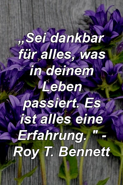 „Sei dankbar für alles, was in deinem Leben passiert. Es ist alles eine Erfahrung. " - Roy T. Bennett