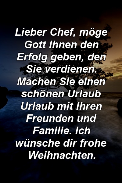 Lieber Chef, möge Gott Ihnen den Erfolg geben, den Sie verdienen. Machen Sie einen schönen Urlaub Urlaub mit Ihren Freunden und Familie. Ich wünsche dir frohe Weihnachten.