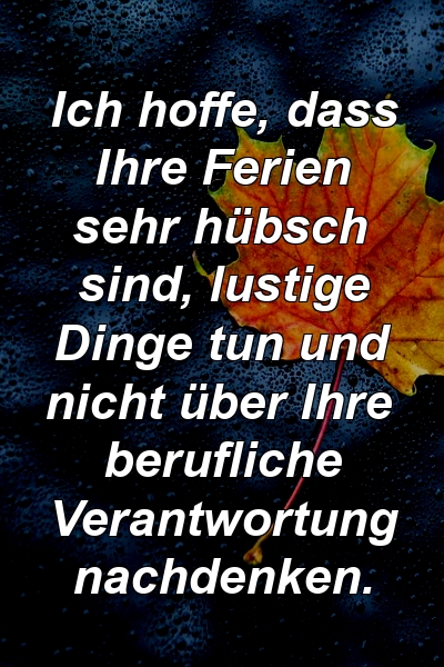 Ich hoffe, dass Ihre Ferien sehr hübsch sind, lustige Dinge tun und nicht über Ihre berufliche Verantwortung nachdenken.