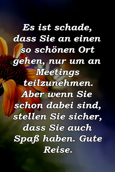 Es ist schade, dass Sie an einen so schönen Ort gehen, nur um an Meetings teilzunehmen. Aber wenn Sie schon dabei sind, stellen Sie sicher, dass Sie auch Spaß haben. Gute Reise.