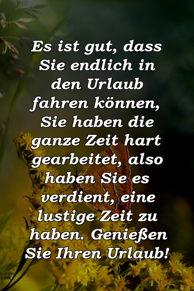 Es ist gut, dass Sie endlich in den Urlaub fahren können, Sie haben die ganze Zeit hart gearbeitet, also haben Sie es verdient, eine lustige Zeit zu haben. Genießen Sie Ihren Urlaub!