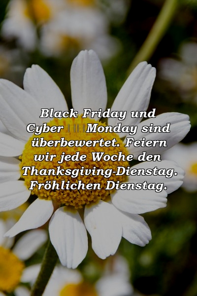 Black Friday und Cyber ​​Monday sind überbewertet. Feiern wir jede Woche den Thanksgiving-Dienstag. Fröhlichen Dienstag.