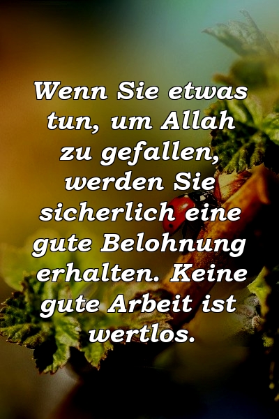 Wenn Sie etwas tun, um Allah zu gefallen, werden Sie sicherlich eine gute Belohnung erhalten. Keine gute Arbeit ist wertlos.