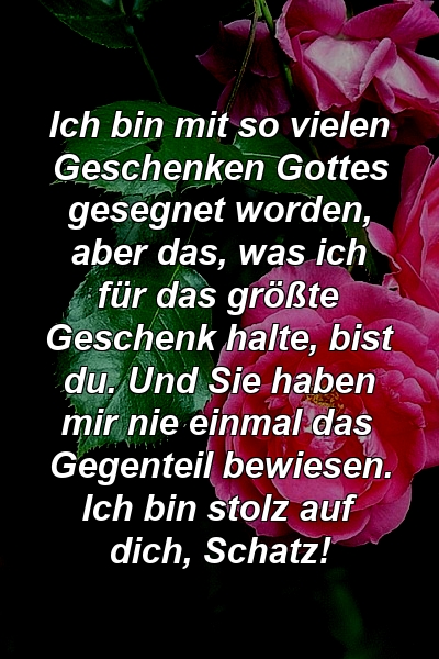 Ich bin mit so vielen Geschenken Gottes gesegnet worden, aber das, was ich für das größte Geschenk halte, bist du. Und Sie haben mir nie einmal das Gegenteil bewiesen. Ich bin stolz auf dich, Schatz!