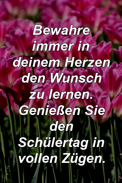 Bewahre immer in deinem Herzen den Wunsch zu lernen. Genießen Sie den Schülertag in vollen Zügen.