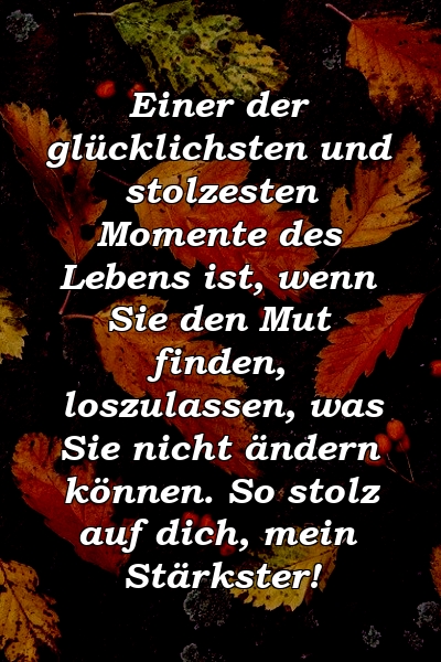 Einer der glücklichsten und stolzesten Momente des Lebens ist, wenn Sie den Mut finden, loszulassen, was Sie nicht ändern können. So stolz auf dich, mein Stärkster!