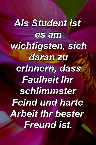 Als Student ist es am wichtigsten, sich daran zu erinnern, dass Faulheit Ihr schlimmster Feind und harte Arbeit Ihr bester Freund ist.