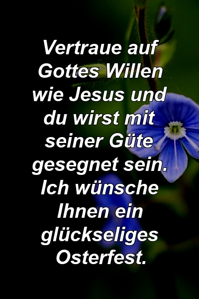 Vertraue auf Gottes Willen wie Jesus und du wirst mit seiner Güte gesegnet sein. Ich wünsche Ihnen ein glückseliges Osterfest.