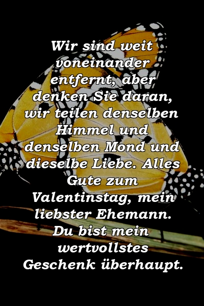 Wir sind weit voneinander entfernt, aber denken Sie daran, wir teilen denselben Himmel und denselben Mond und dieselbe Liebe. Alles Gute zum Valentinstag, mein liebster Ehemann. Du bist mein wertvollstes Geschenk überhaupt.