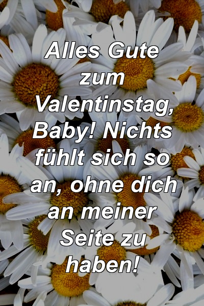 Alles Gute zum Valentinstag, Baby! Nichts fühlt sich so an, ohne dich an meiner Seite zu haben!