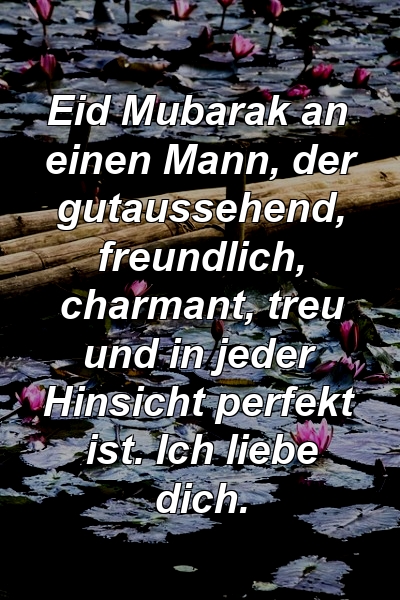 Eid Mubarak an einen Mann, der gutaussehend, freundlich, charmant, treu und in jeder Hinsicht perfekt ist. Ich liebe dich.