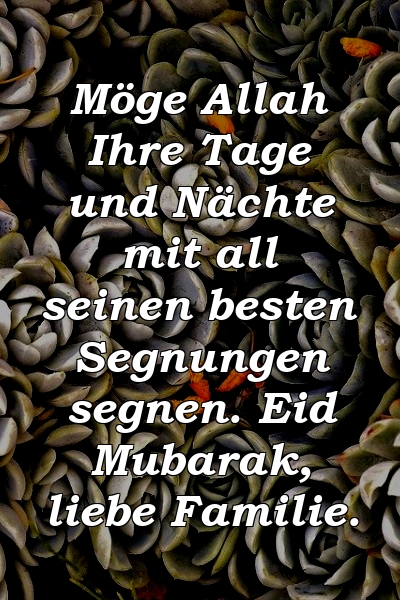 Möge Allah Ihre Tage und Nächte mit all seinen besten Segnungen segnen. Eid Mubarak, liebe Familie.