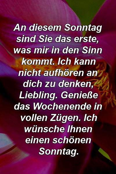 An diesem Sonntag sind Sie das erste, was mir in den Sinn kommt. Ich kann nicht aufhören an dich zu denken, Liebling. Genieße das Wochenende in vollen Zügen. Ich wünsche Ihnen einen schönen Sonntag.