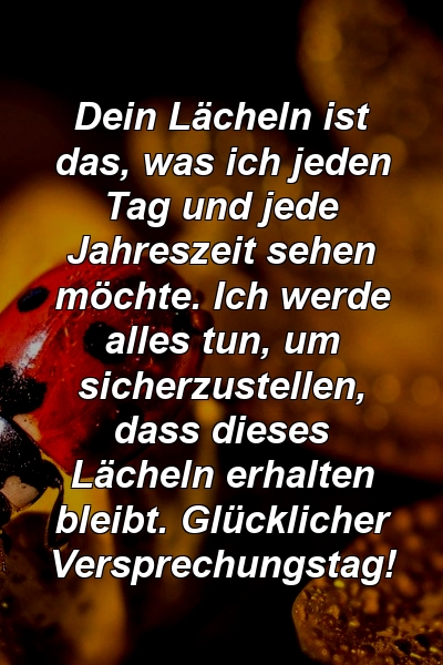 Dein Lächeln ist das, was ich jeden Tag und jede Jahreszeit sehen möchte. Ich werde alles tun, um sicherzustellen, dass dieses Lächeln erhalten bleibt. Glücklicher Versprechungstag!