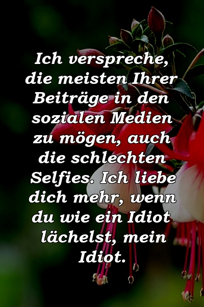 Ich verspreche, die meisten Ihrer Beiträge in den sozialen Medien zu mögen, auch die schlechten Selfies. Ich liebe dich mehr, wenn du wie ein Idiot lächelst, mein Idiot.