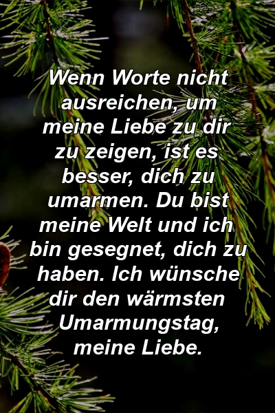 Wenn Worte nicht ausreichen, um meine Liebe zu dir zu zeigen, ist es besser, dich zu umarmen. Du bist meine Welt und ich bin gesegnet, dich zu haben. Ich wünsche dir den wärmsten Umarmungstag, meine Liebe.