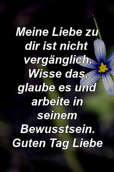 Meine Liebe zu dir ist nicht vergänglich. Wisse das, glaube es und arbeite in seinem Bewusstsein. Guten Tag Liebe