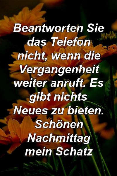 Beantworten Sie das Telefon nicht, wenn die Vergangenheit weiter anruft. Es gibt nichts Neues zu bieten. Schönen Nachmittag mein Schatz