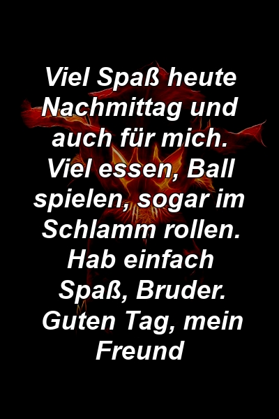 Viel Spaß heute Nachmittag und auch für mich. Viel essen, Ball spielen, sogar im Schlamm rollen. Hab einfach Spaß, Bruder. Guten Tag, mein Freund