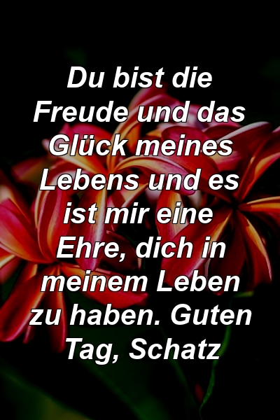 Du bist die Freude und das Glück meines Lebens und es ist mir eine Ehre, dich in meinem Leben zu haben. Guten Tag, Schatz