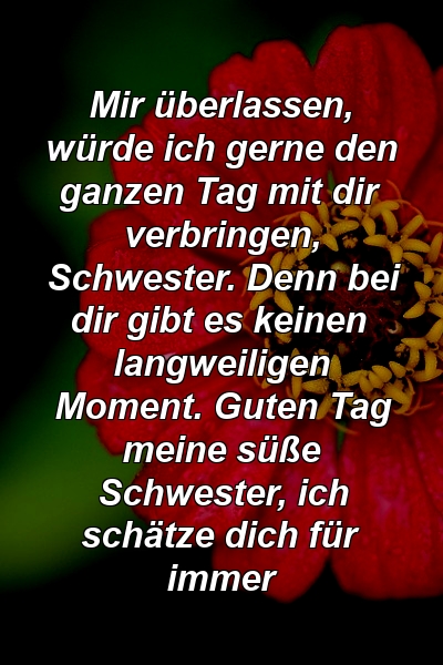 Mir überlassen, würde ich gerne den ganzen Tag mit dir verbringen, Schwester. Denn bei dir gibt es keinen langweiligen Moment. Guten Tag meine süße Schwester, ich schätze dich für immer