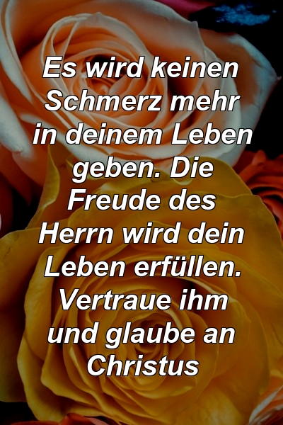 Es wird keinen Schmerz mehr in deinem Leben geben. Die Freude des Herrn wird dein Leben erfüllen. Vertraue ihm und glaube an Christus