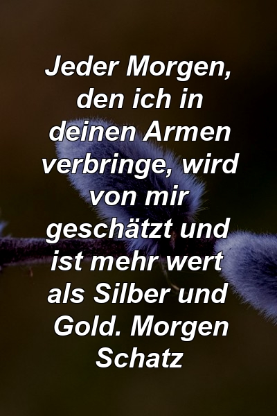 Jeder Morgen, den ich in deinen Armen verbringe, wird von mir geschätzt und ist mehr wert als Silber und Gold. Morgen Schatz