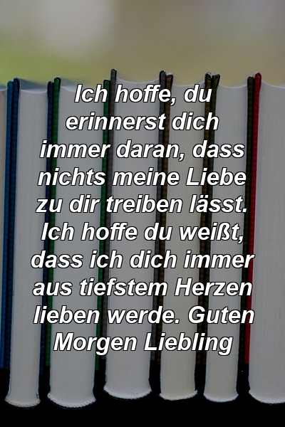 Ich hoffe, du erinnerst dich immer daran, dass nichts meine Liebe zu dir treiben lässt. Ich hoffe du weißt, dass ich dich immer aus tiefstem Herzen lieben werde. Guten Morgen Liebling