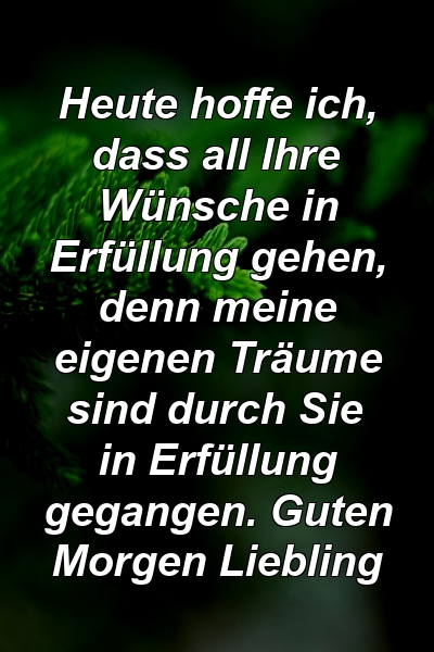 Heute hoffe ich, dass all Ihre Wünsche in Erfüllung gehen, denn meine eigenen Träume sind durch Sie in Erfüllung gegangen. Guten Morgen Liebling