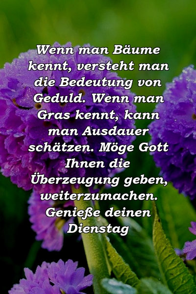 Wenn man Bäume kennt, versteht man die Bedeutung von Geduld. Wenn man Gras kennt, kann man Ausdauer schätzen. Möge Gott Ihnen die Überzeugung geben, weiterzumachen. Genieße deinen Dienstag