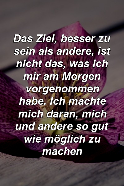 Das Ziel, besser zu sein als andere, ist nicht das, was ich mir am Morgen vorgenommen habe. Ich machte mich daran, mich und andere so gut wie möglich zu machen