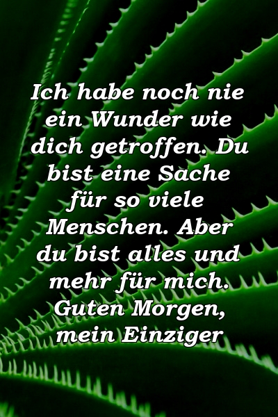 Ich habe noch nie ein Wunder wie dich getroffen. Du bist eine Sache für so viele Menschen. Aber du bist alles und mehr für mich. Guten Morgen, mein Einziger