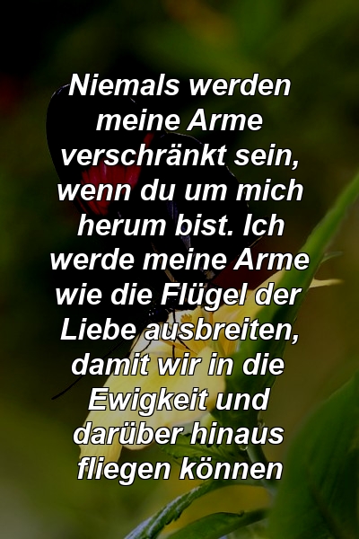 Niemals werden meine Arme verschränkt sein, wenn du um mich herum bist. Ich werde meine Arme wie die Flügel der Liebe ausbreiten, damit wir in die Ewigkeit und darüber hinaus fliegen können