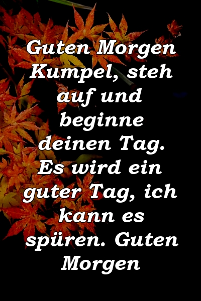 Guten Morgen Kumpel, steh auf und beginne deinen Tag. Es wird ein guter Tag, ich kann es spüren. Guten Morgen