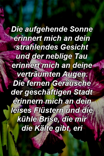 Die aufgehende Sonne erinnert mich an dein strahlendes Gesicht und der neblige Tau erinnert mich an deine verträumten Augen. Die fernen Geräusche der geschäftigen Stadt erinnern mich an dein leises Flüstern und die kühle Brise, die mir die Kälte gibt, eri