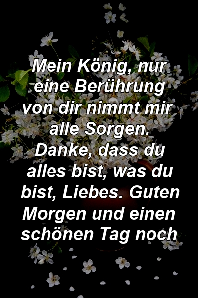 Mein König, nur eine Berührung von dir nimmt mir alle Sorgen. Danke, dass du alles bist, was du bist, Liebes. Guten Morgen und einen schönen Tag noch