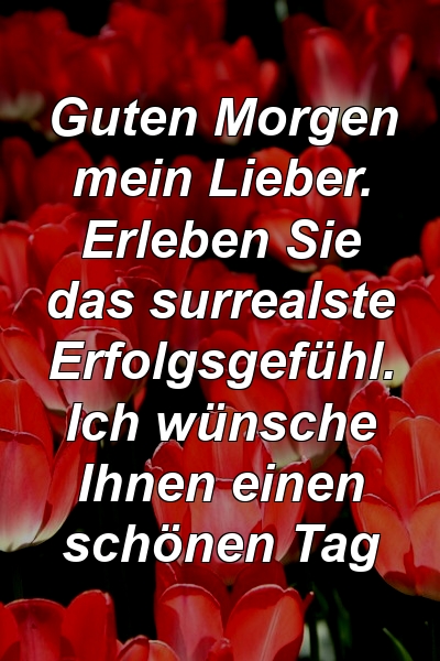 Guten Morgen mein Lieber. Erleben Sie das surrealste Erfolgsgefühl. Ich wünsche Ihnen einen schönen Tag