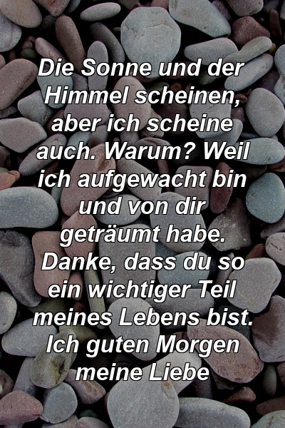 Die Sonne und der Himmel scheinen, aber ich scheine auch. Warum? Weil ich aufgewacht bin und von dir geträumt habe. Danke, dass du so ein wichtiger Teil meines Lebens bist. Ich guten Morgen meine Liebe