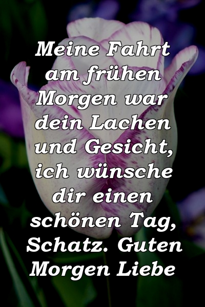 Meine Fahrt am frühen Morgen war dein Lachen und Gesicht, ich wünsche dir einen schönen Tag, Schatz. Guten Morgen Liebe