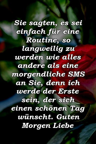 Sie sagten, es sei einfach für eine Routine, so langweilig zu werden wie alles andere als eine morgendliche SMS an Sie, denn ich werde der Erste sein, der sich einen schönen Tag wünscht. Guten Morgen Liebe