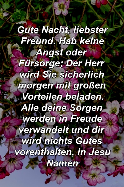 Gute Nacht, liebster Freund. Hab keine Angst oder Fürsorge; Der Herr wird Sie sicherlich morgen mit großen Vorteilen beladen. Alle deine Sorgen werden in Freude verwandelt und dir wird nichts Gutes vorenthalten, in Jesu Namen