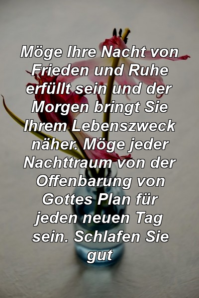 Möge Ihre Nacht von Frieden und Ruhe erfüllt sein und der Morgen bringt Sie Ihrem Lebenszweck näher. Möge jeder Nachttraum von der Offenbarung von Gottes Plan für jeden neuen Tag sein. Schlafen Sie gut