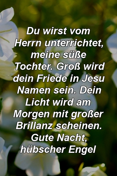 Du wirst vom Herrn unterrichtet, meine süße Tochter. Groß wird dein Friede in Jesu Namen sein. Dein Licht wird am Morgen mit großer Brillanz scheinen. Gute Nacht, hübscher Engel