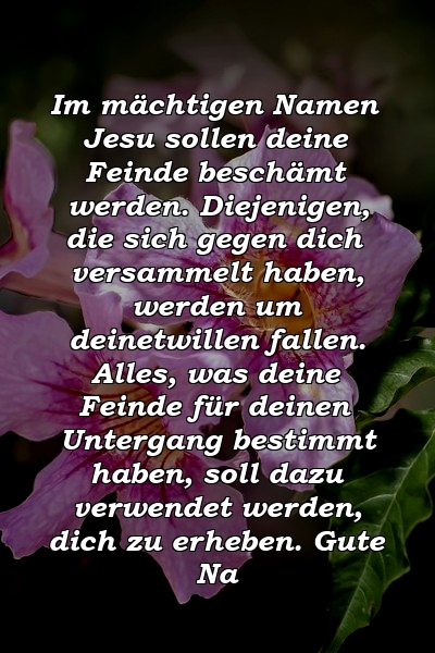 Im mächtigen Namen Jesu sollen deine Feinde beschämt werden. Diejenigen, die sich gegen dich versammelt haben, werden um deinetwillen fallen. Alles, was deine Feinde für deinen Untergang bestimmt haben, soll dazu verwendet werden, dich zu erheben. Gute Na